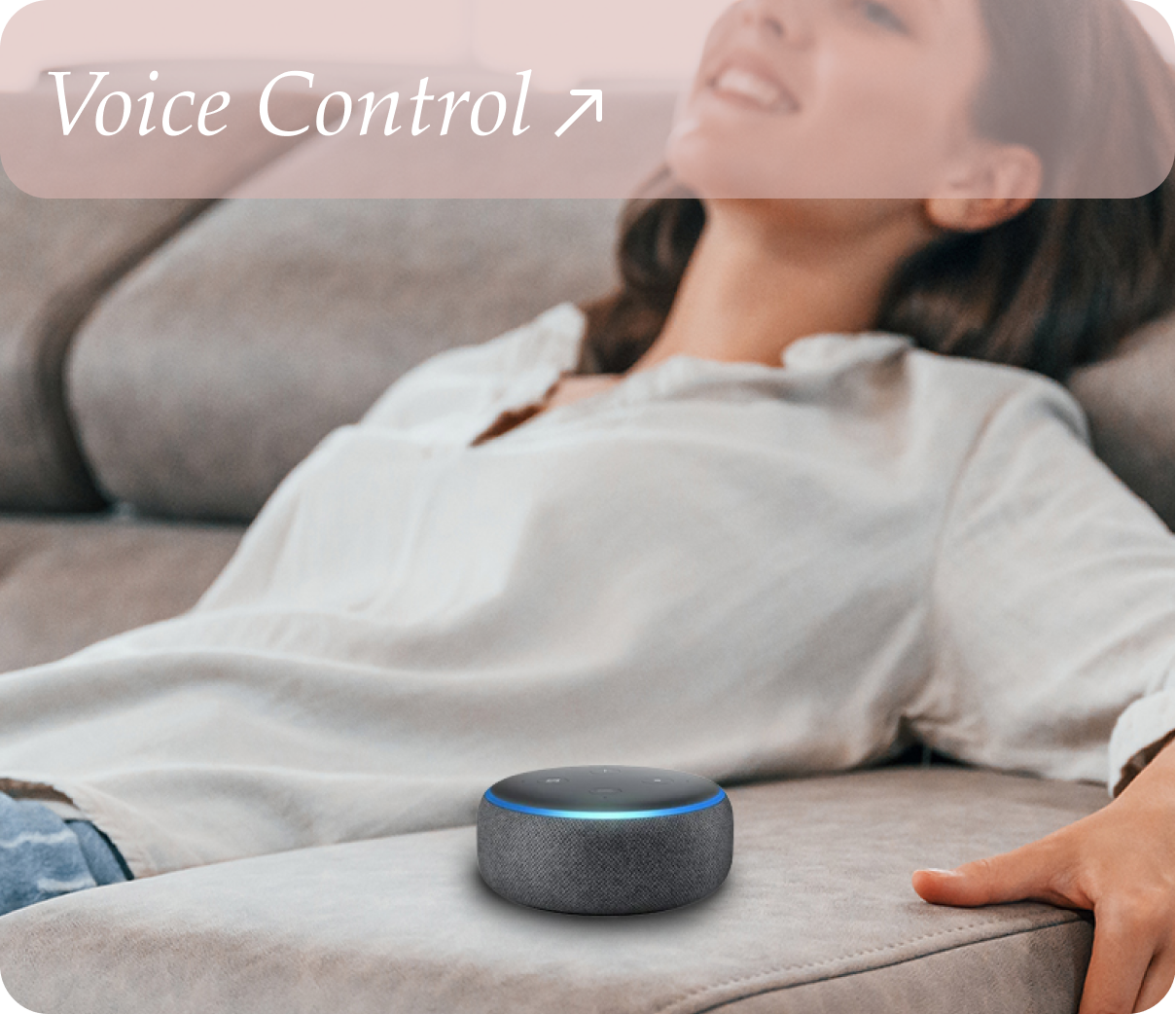 Voice control home automation with Alexa and Google Home in Hyderabad